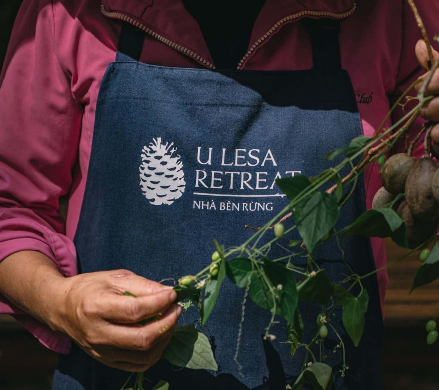 Quán Bên Rừng - U Lesa Retreat