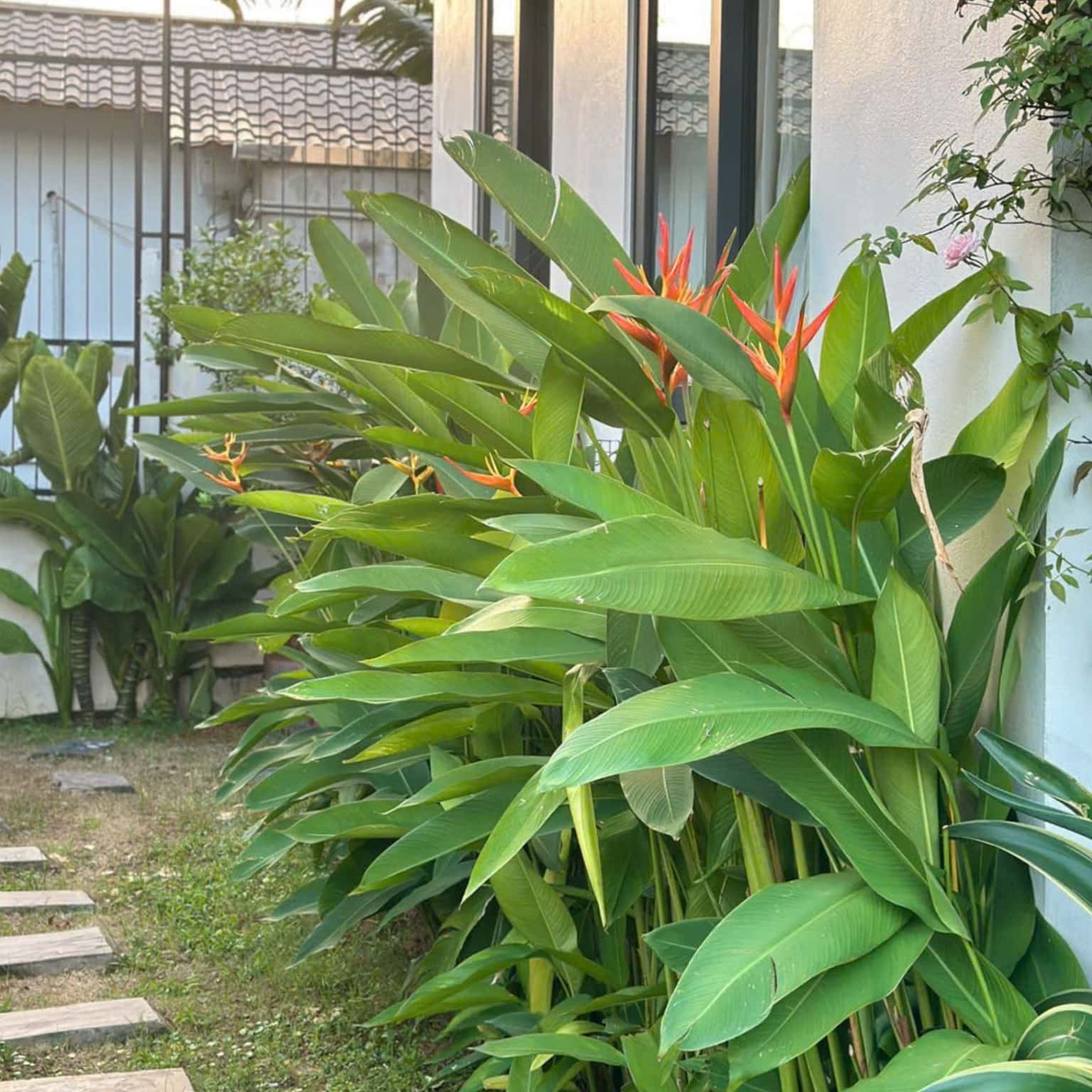 Lamer Villa tại Ban Tiện, Sóc Sơn — ảnh 8