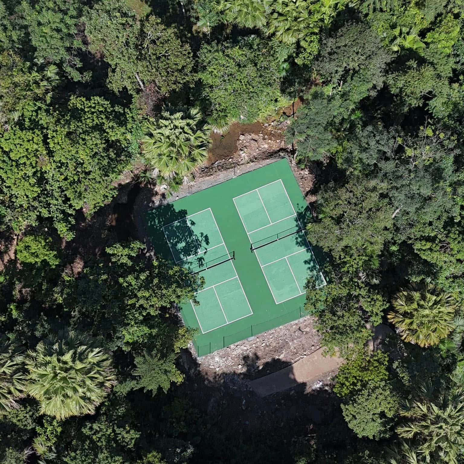 Sân Pickleball