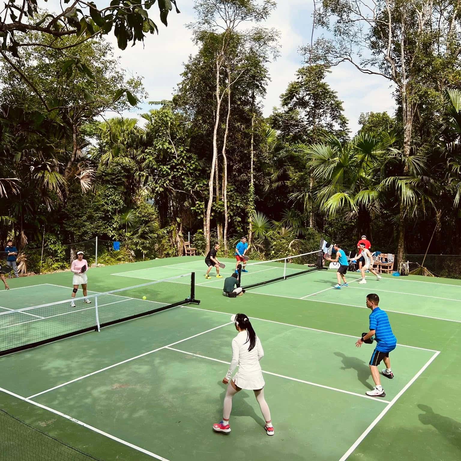 Sân Pickleball
