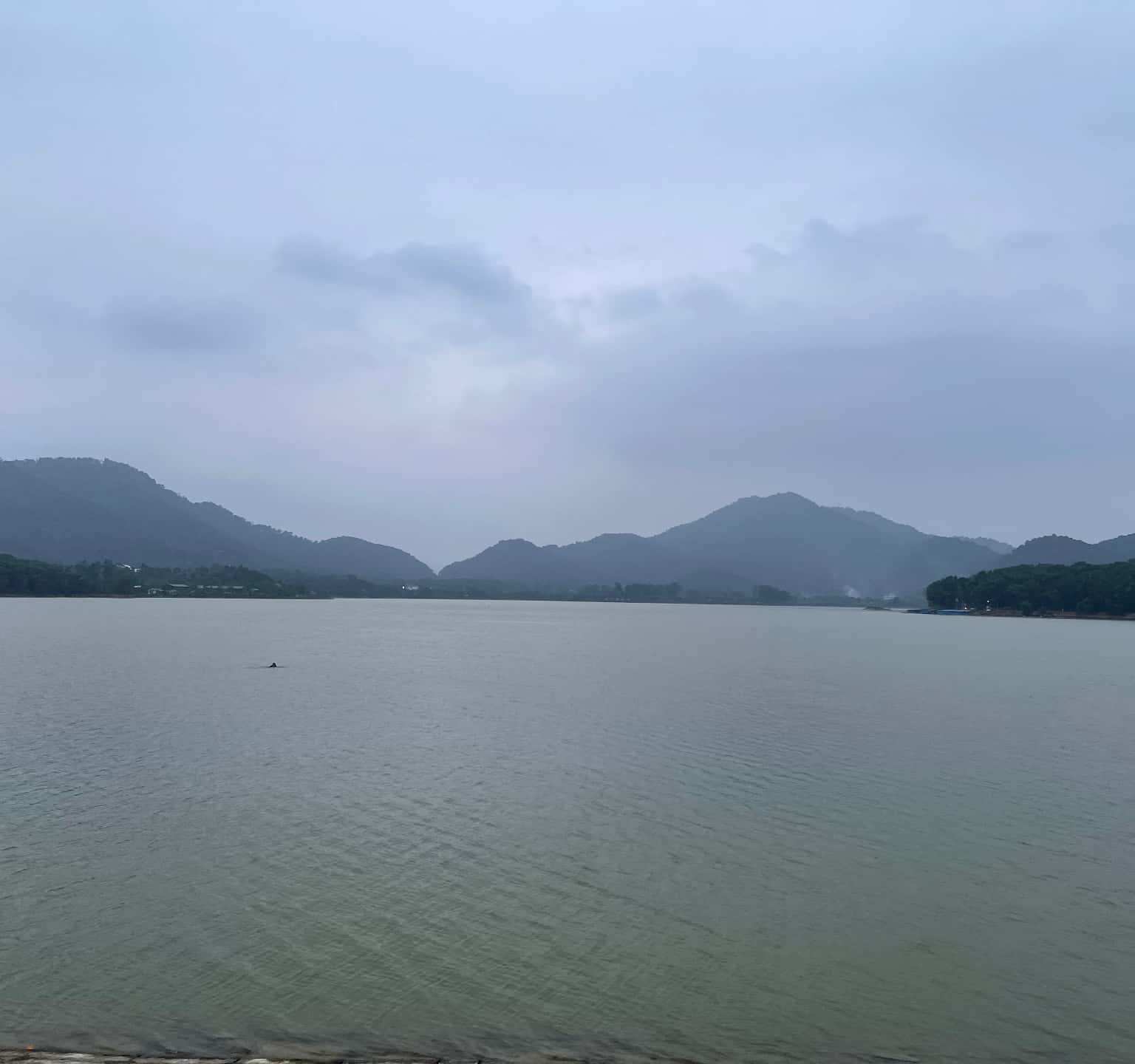 Ảnh 4