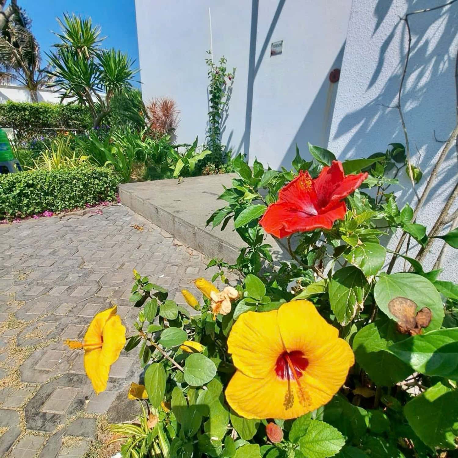 Villa B1606 - Oceanami Long Hải, Vũng Tàu — ảnh 25