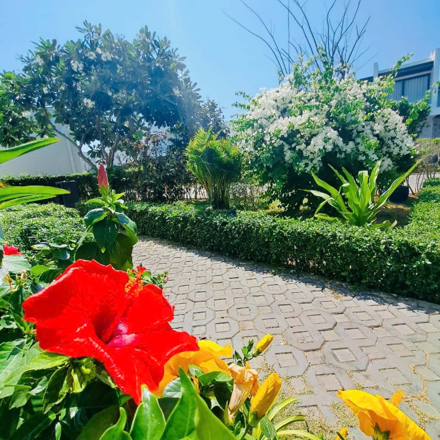 Villa B1606 - Oceanami Long Hải, Vũng Tàu — ảnh 26