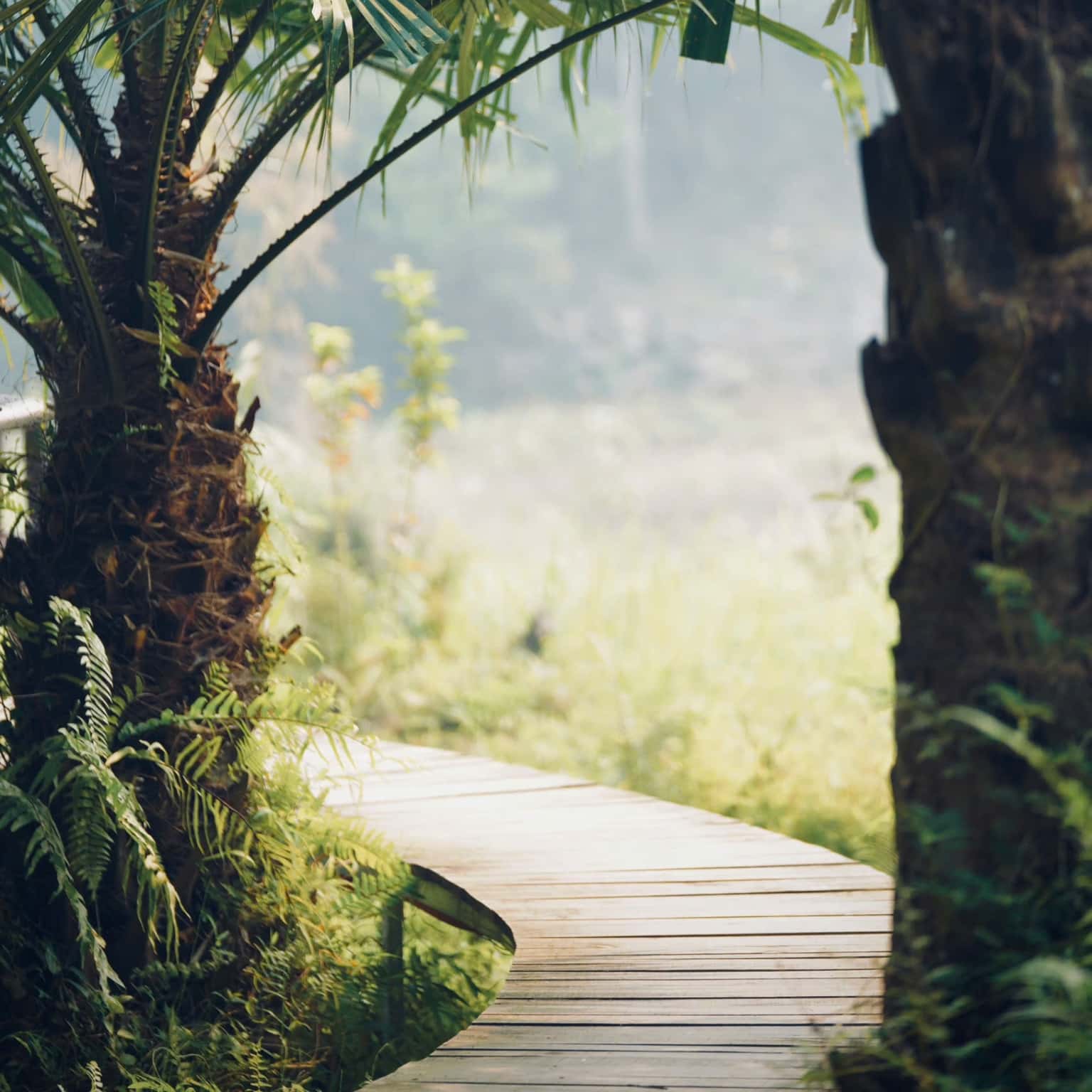 Glamping Suite (Cọ Retreat) tại Đà Bắc, Hòa Bình — ảnh 10