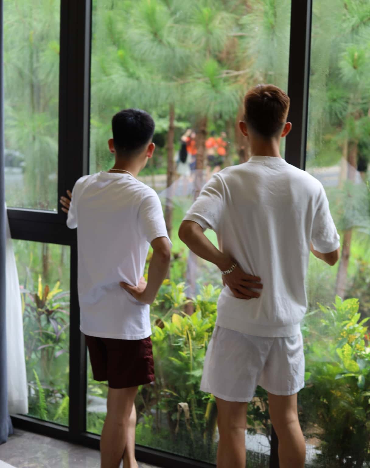 照片3