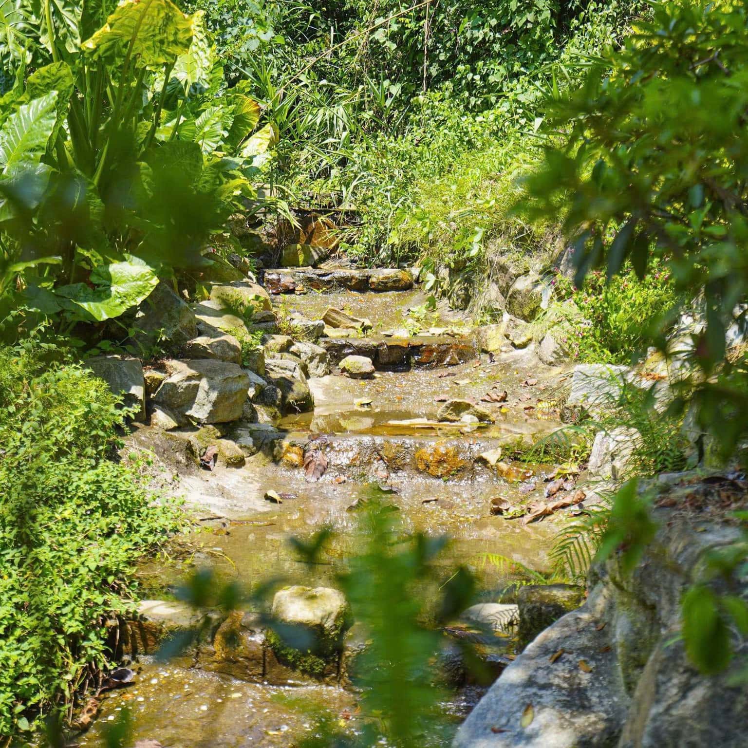 D21 - Moonlight Villa, Sân Golf Tam Đảo — ảnh 54