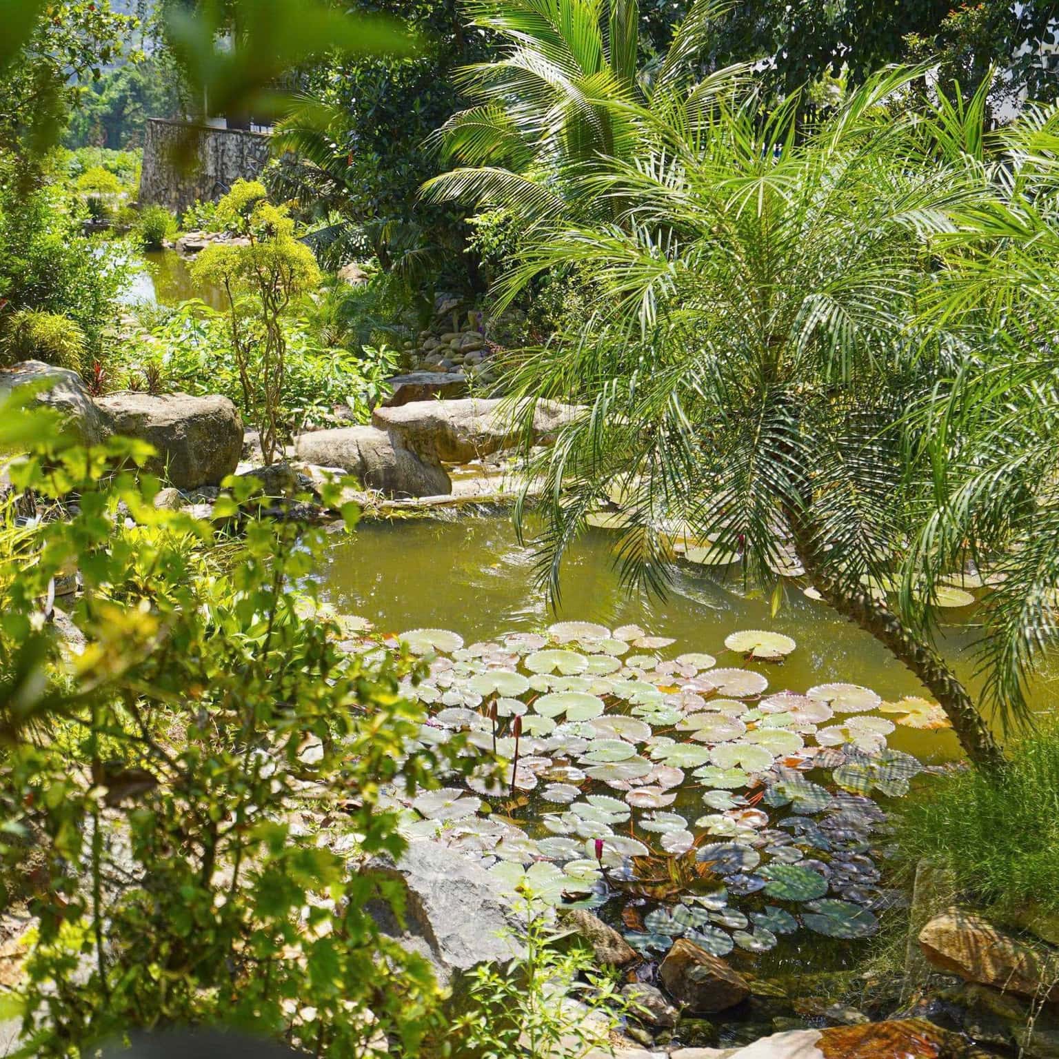 D21 - Moonlight Villa, Sân Golf Tam Đảo — ảnh 53