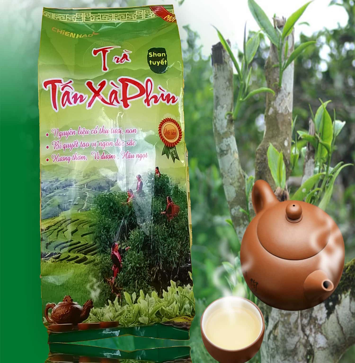 Chè Shan Tuyết