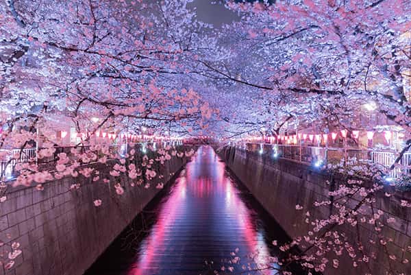 Top 10 địa điểm tham quan hàng đầu ở Meguro, Tokyo