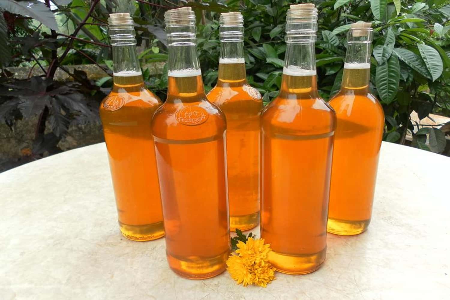 Mật ong rừng Mộc Châu