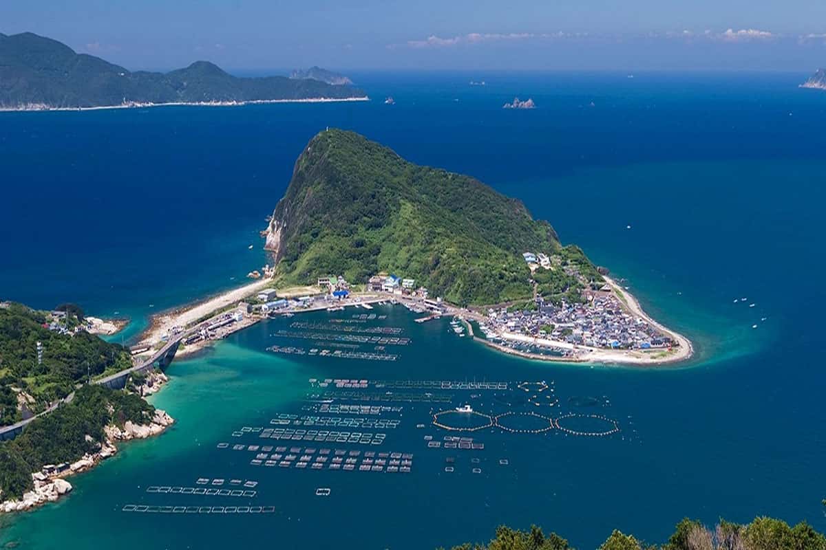 Trung Honshu