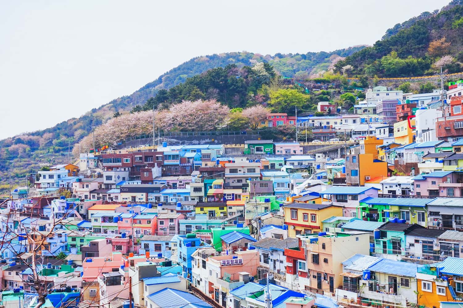 Thành phố Busan