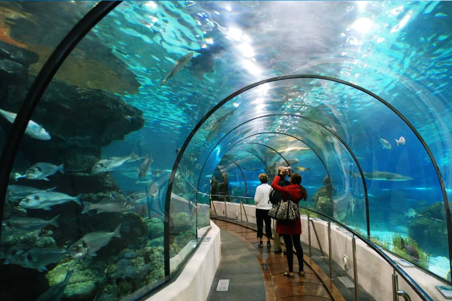 Thủy cung Vinpearlland Aquarium