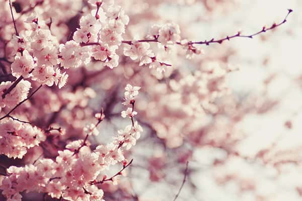 Top 10 sự kiện nổi bật hàng năm ở Thượng Hải