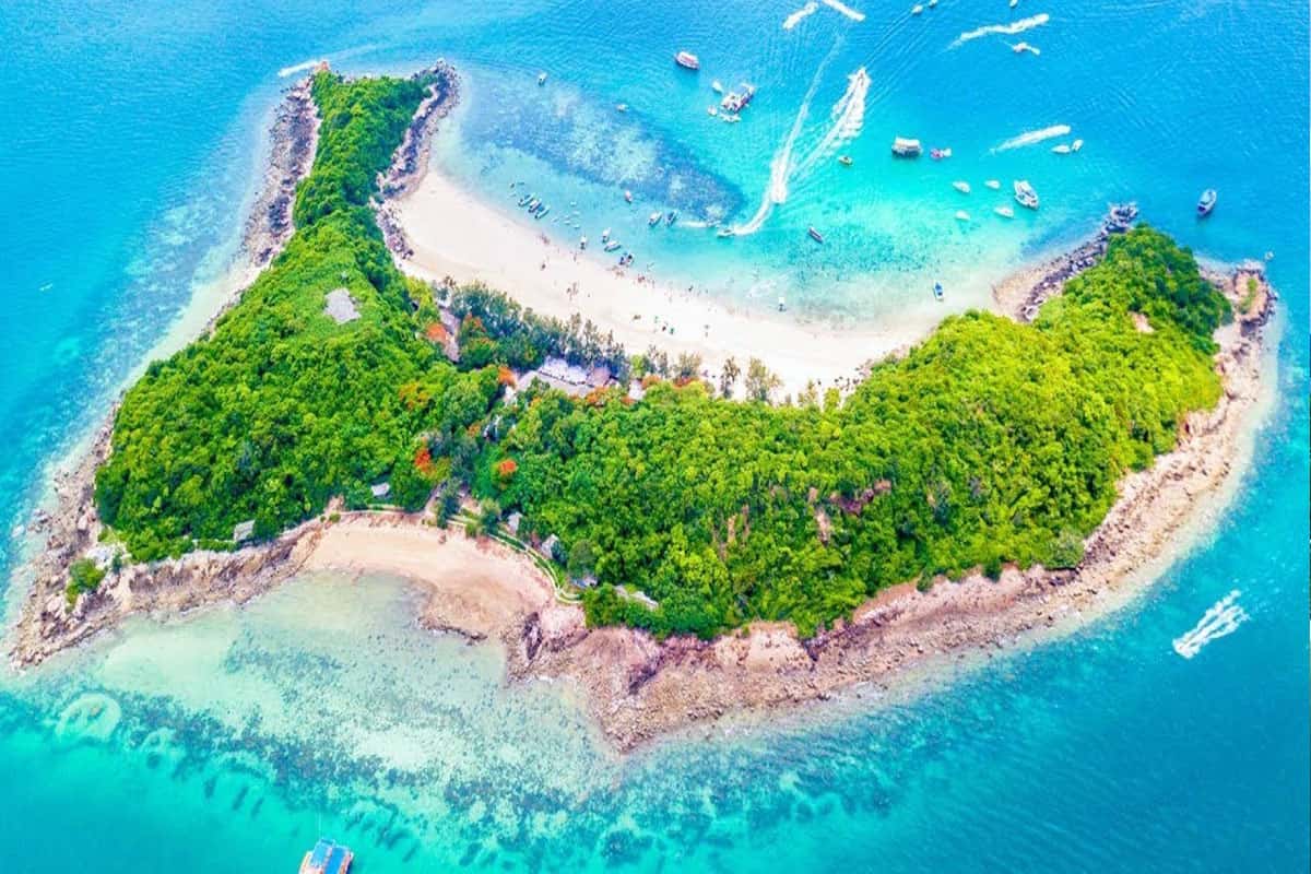 Coral Island