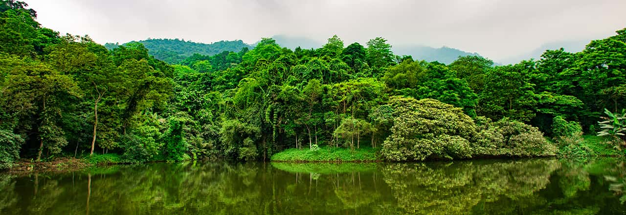 Kinh nghiệm du lịch phượt Ba Vì từ A đến Z 