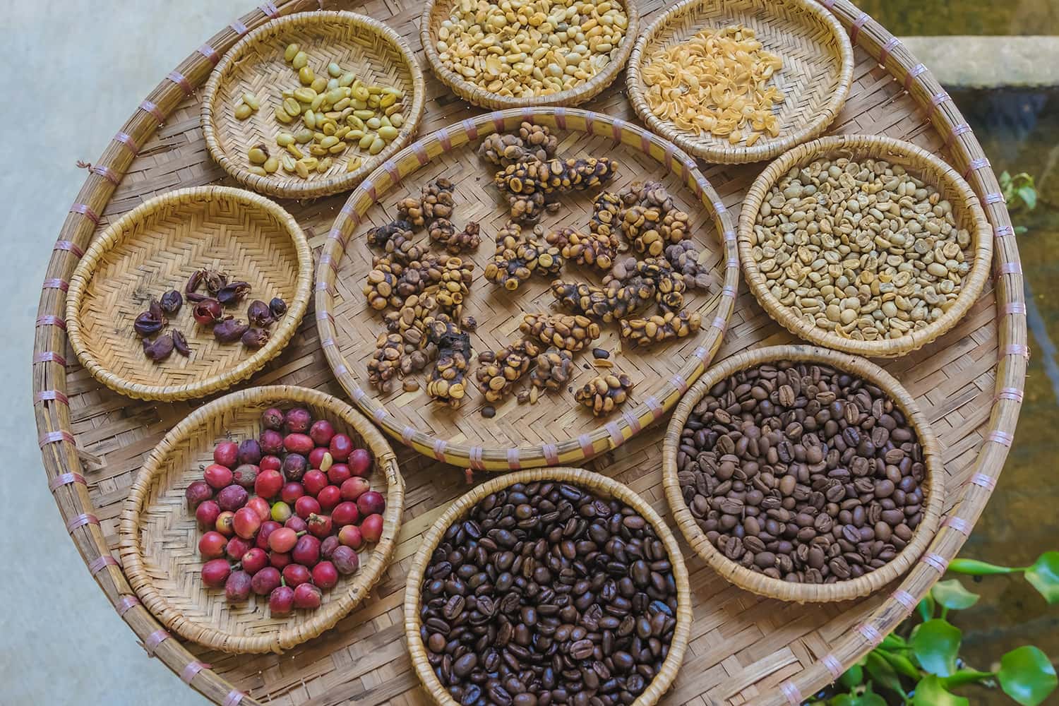 Cà phê Đà Lạt