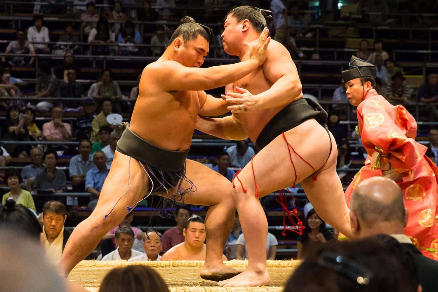 Sumo