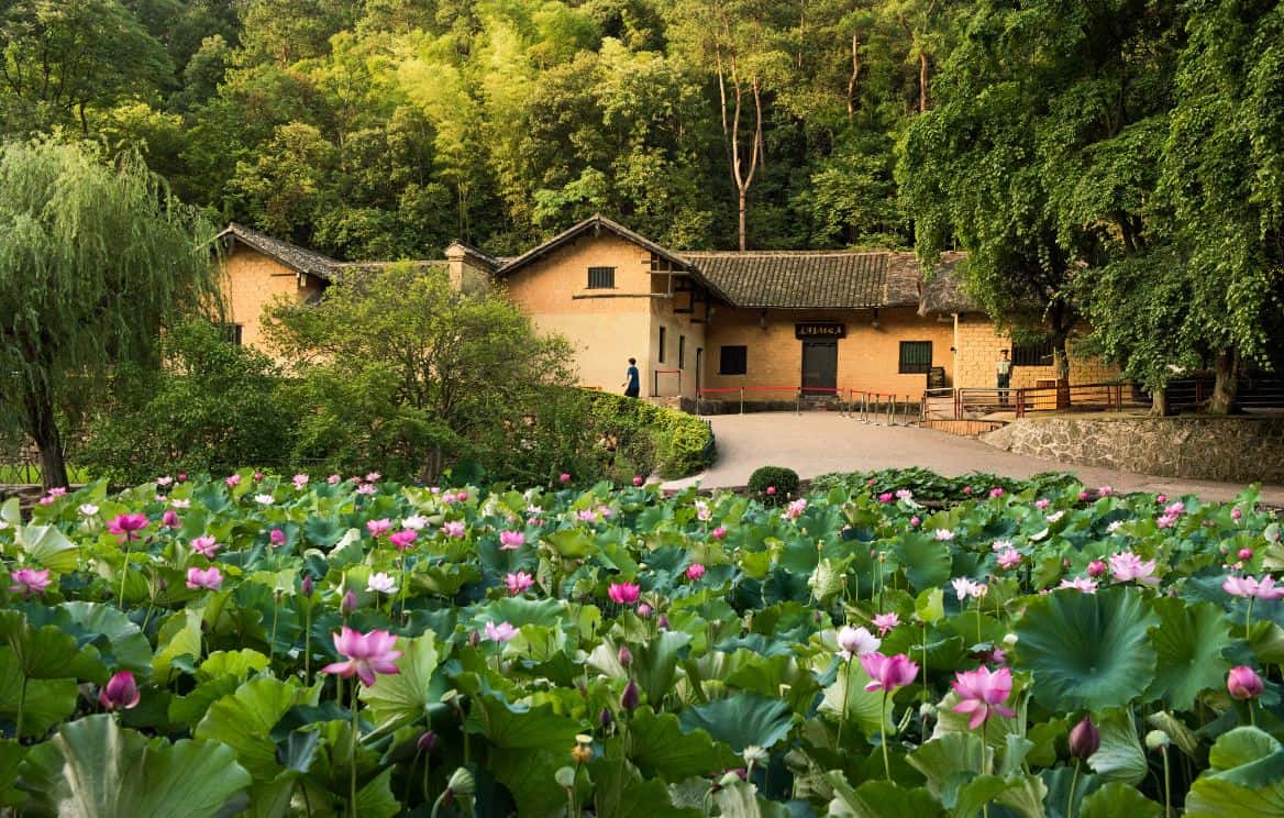 Dã ngoại núi Shaoshan