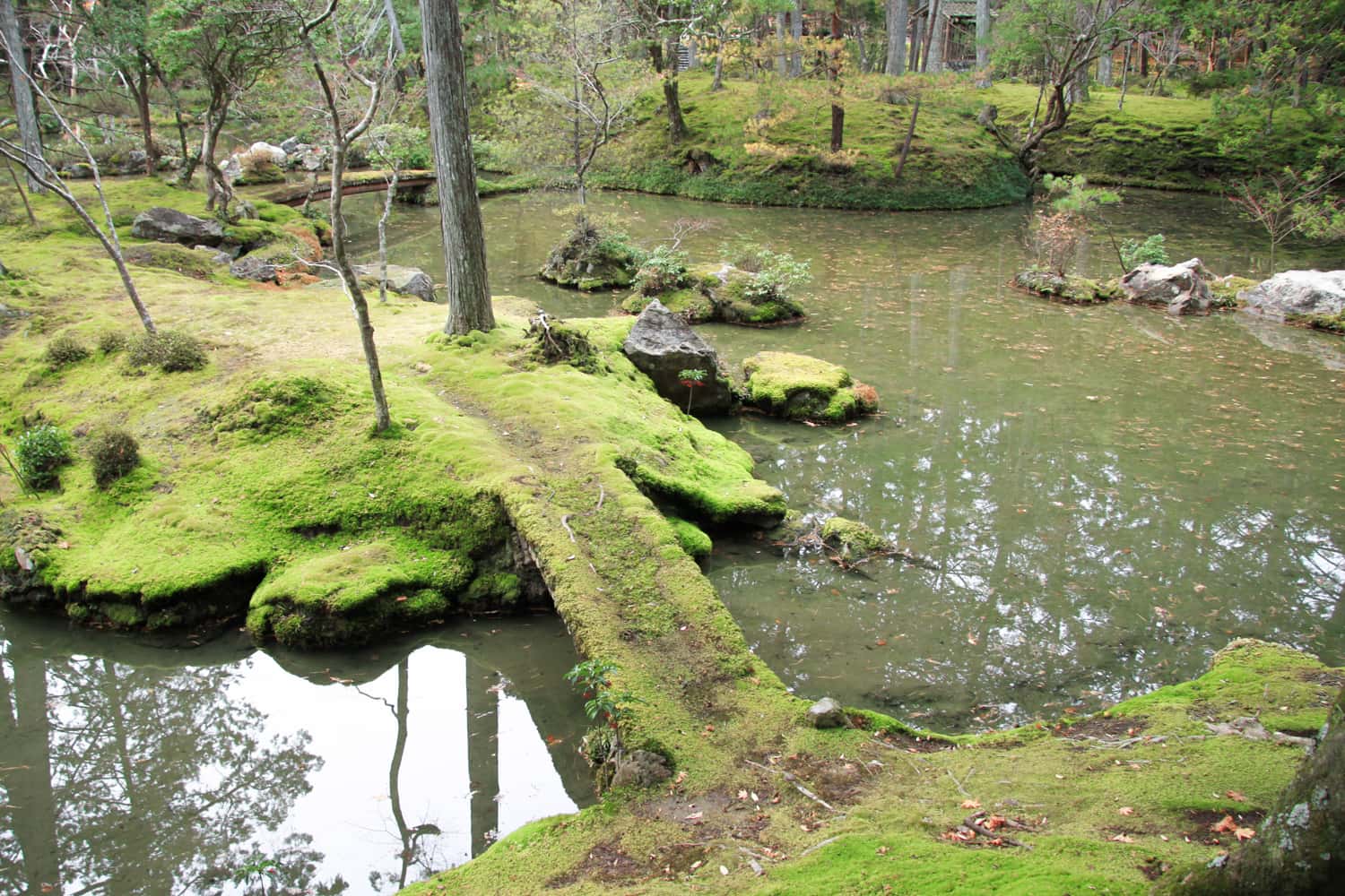 Đền Saiho-ji (芳 寺)