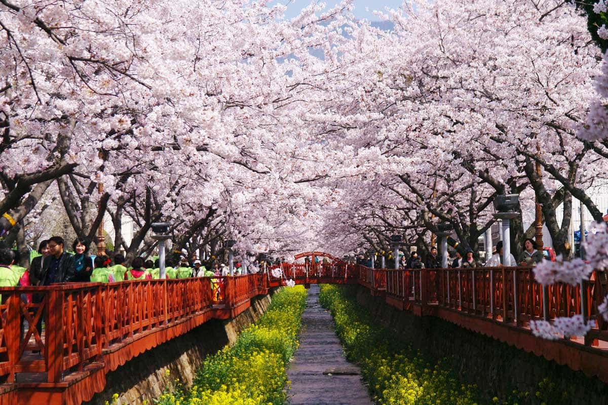 Jinhae 