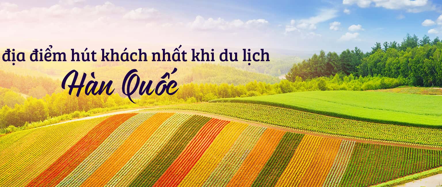 Top 11 địa điểm du lịch hấp dẫn nhất Nhật Bản