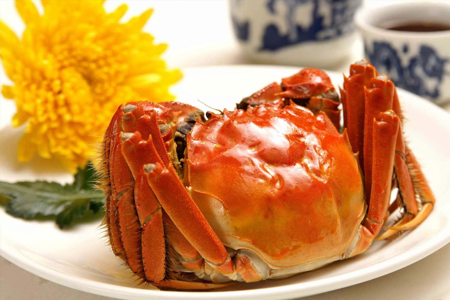 Cua hồ Dương Trừng