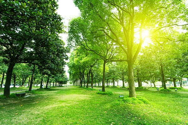Top 5 công viên xinh đẹp nhất Busan, Hàn Quốc