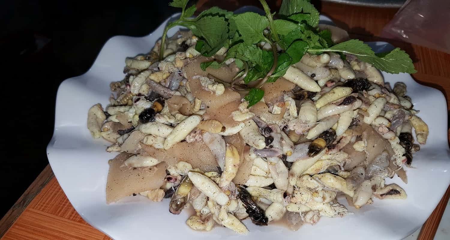 Ong rừng xáo măng chua