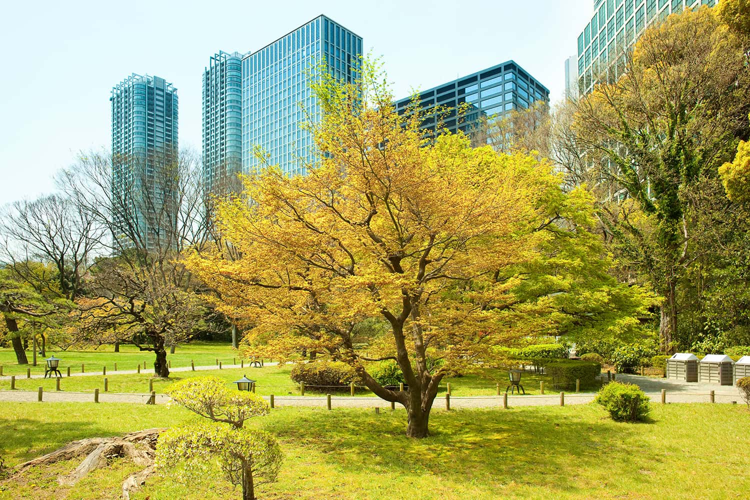 Vườn Hama Rikyu 