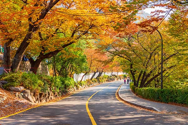 Top 10 công viên cảnh sắc tuyệt vời nhất Hàn Quốc