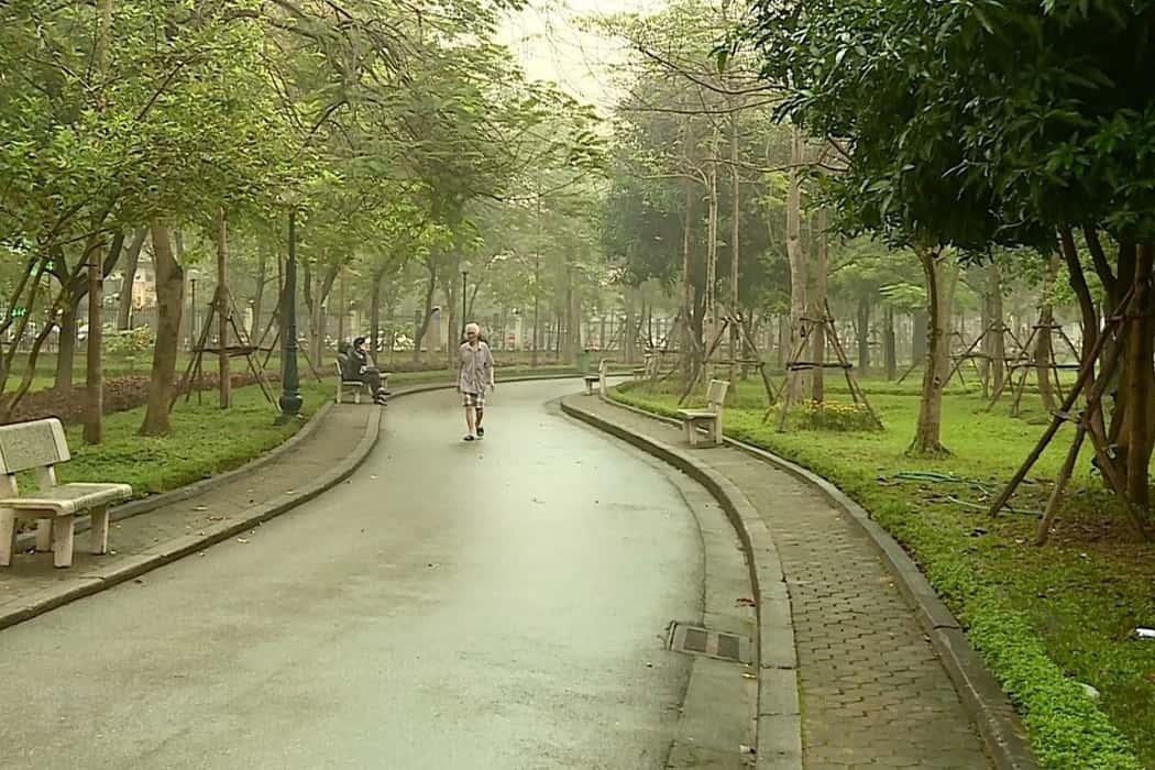 Cảnh quan xanh tại công viên Cầu Giấy