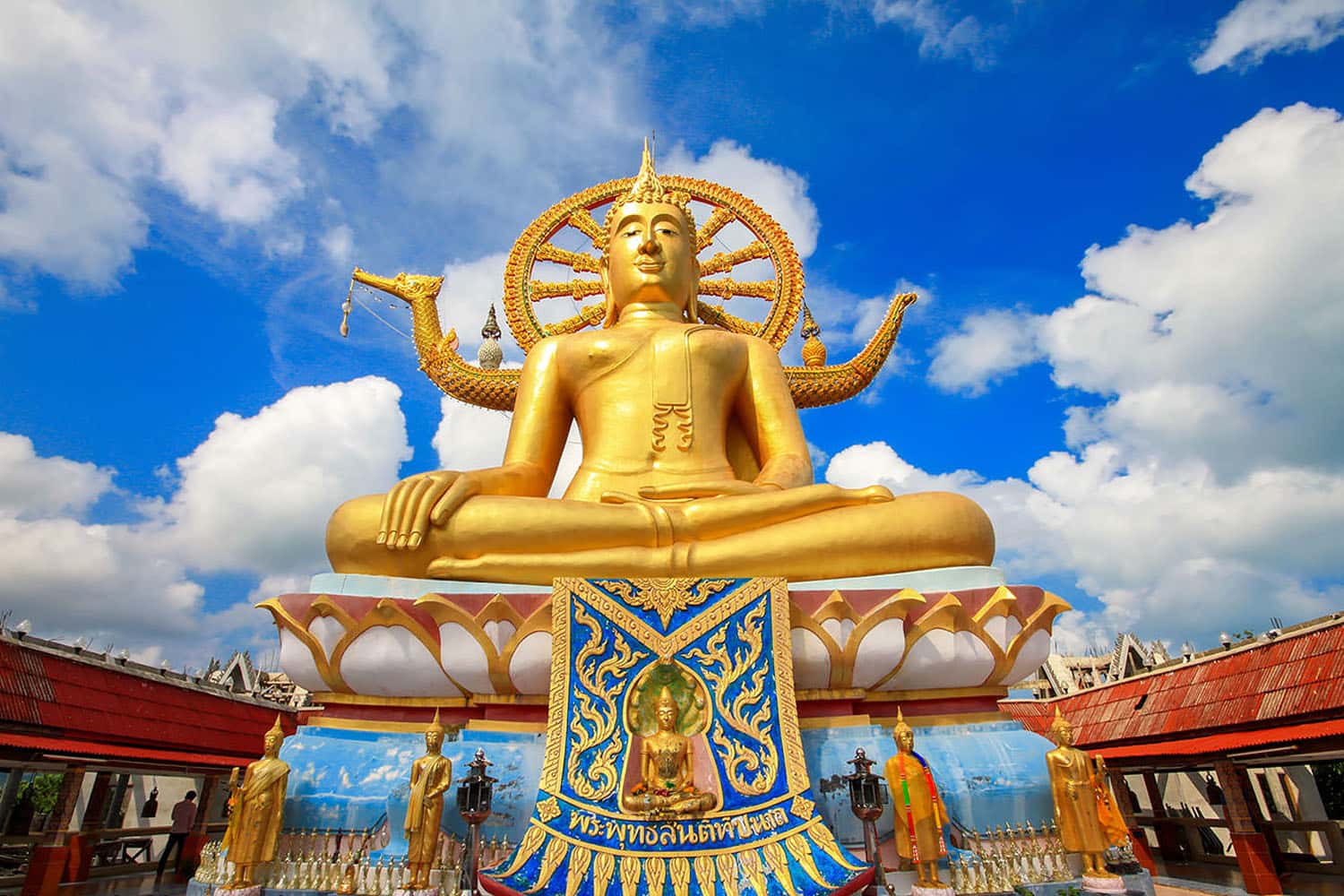 Big Buddha (Tượng Phật lớn)