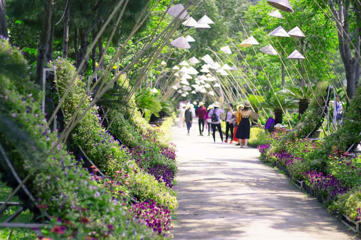 Vườn hoa lan