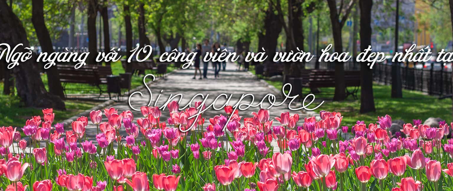 Top 10 công viên và vườn hoa đẹp nhất Singapore