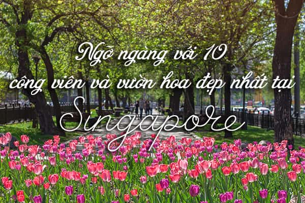 Top 10 công viên và vườn hoa đẹp nhất Singapore