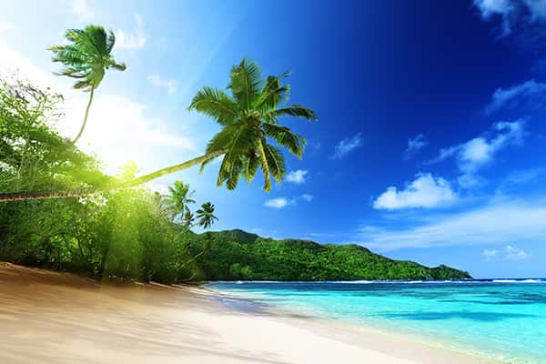 Du lịch đảo Bình Lập - vùng đất nguyên thủy xinh đẹp tại Nha Trang