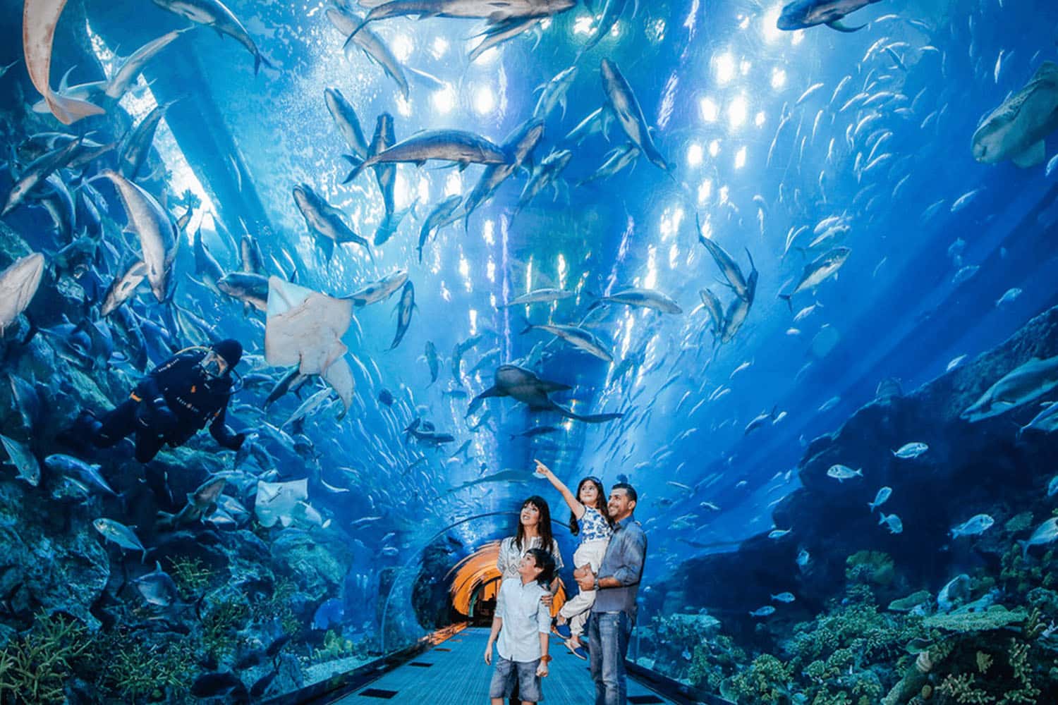 Tham quan Thủy cung Vinpearl Aquarium Time City