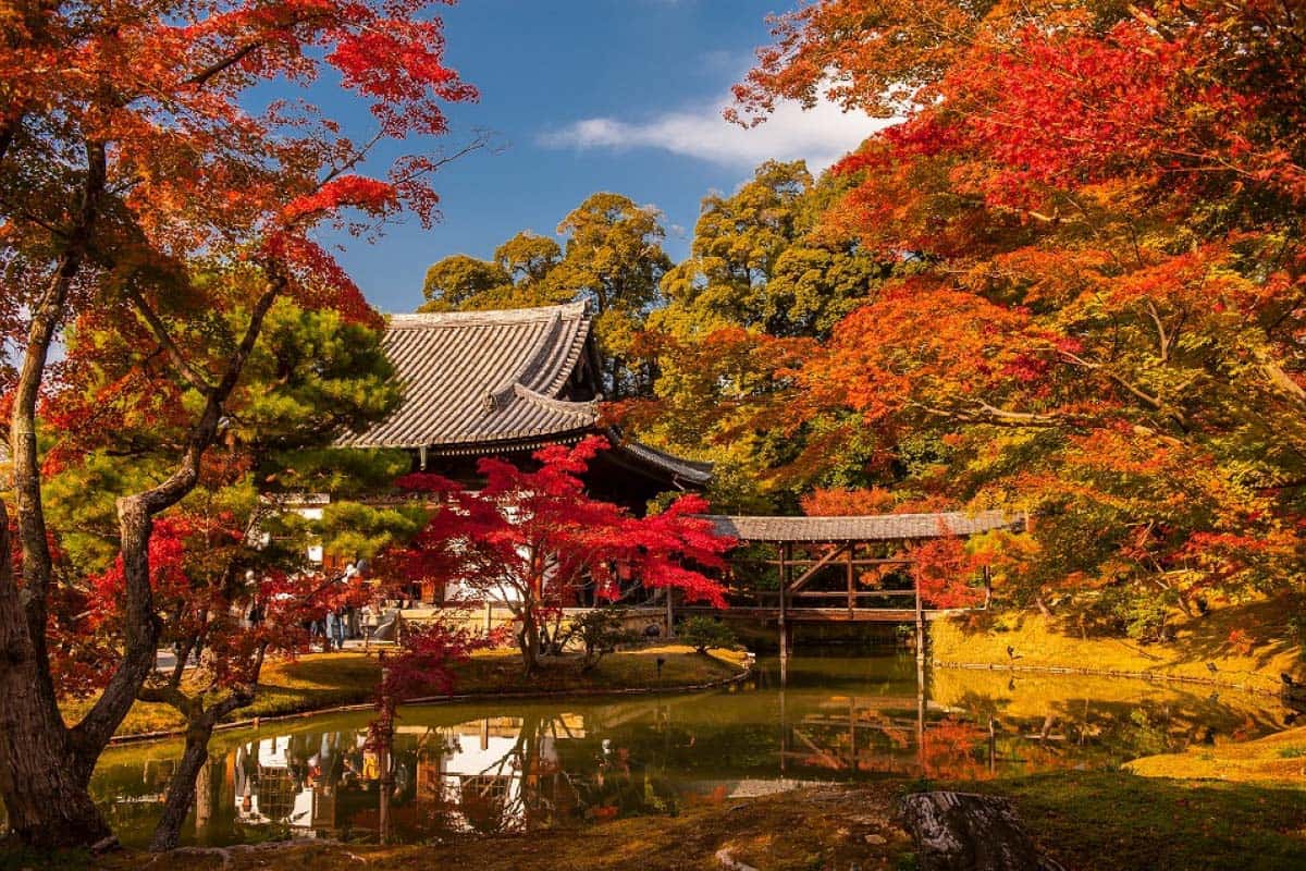 Mùa thu ở Kyoto, Nhật Bản
