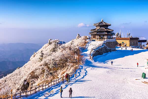 Top 9 trải nghiệm thú vị ở Hàn Quốc vào mùa đông