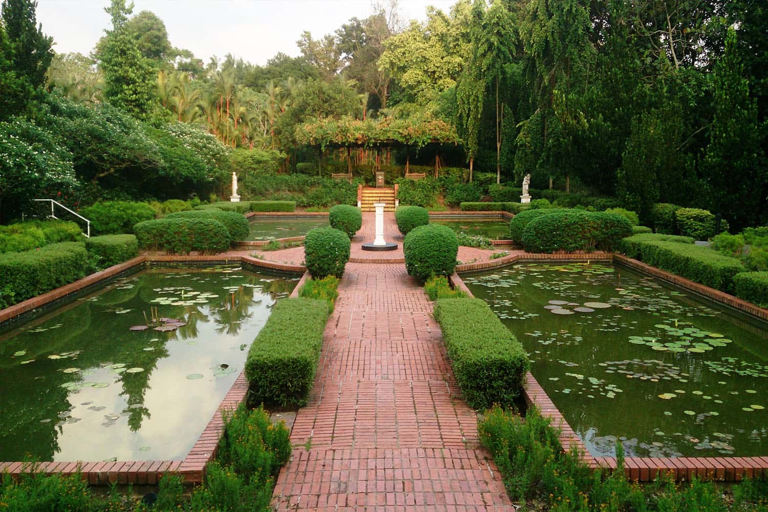Singapore Botanic Gardens - Vườn bách thảo Singapore