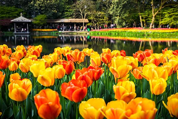 Lễ hội văn hóa đặc sắc nhất ở Hàng Châu