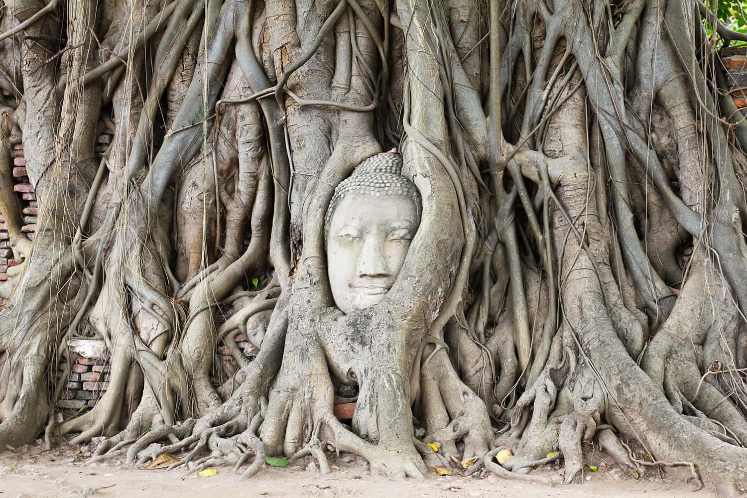 Wat Mahathat Temple