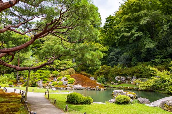 Top 10 địa điểm du lịch tuyệt đẹp ở Higashiyama, Kyoto