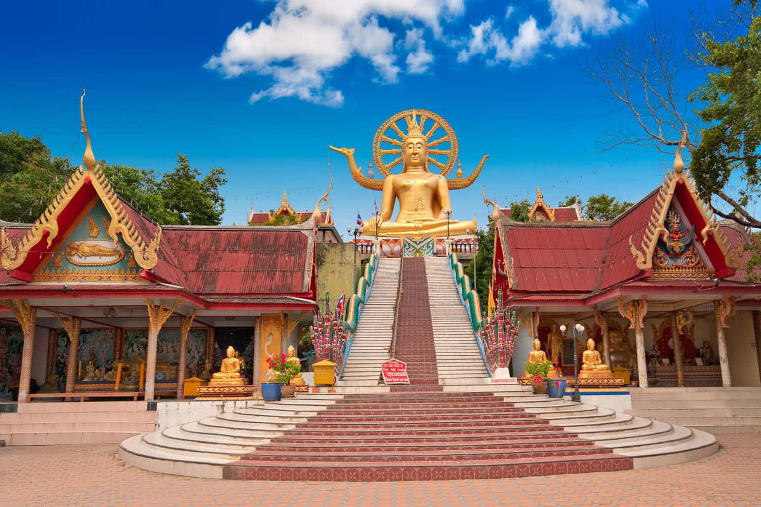  Thăm đền tượng Phật lớn 