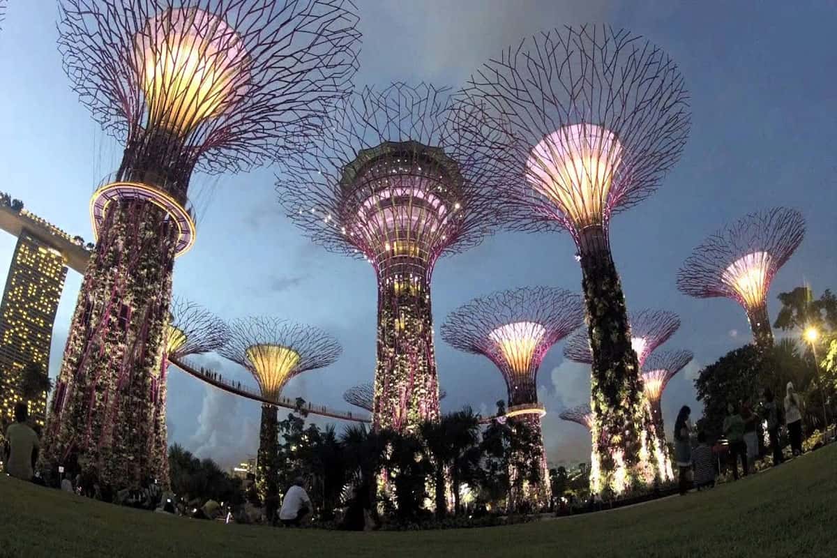 Gardens by the Bay