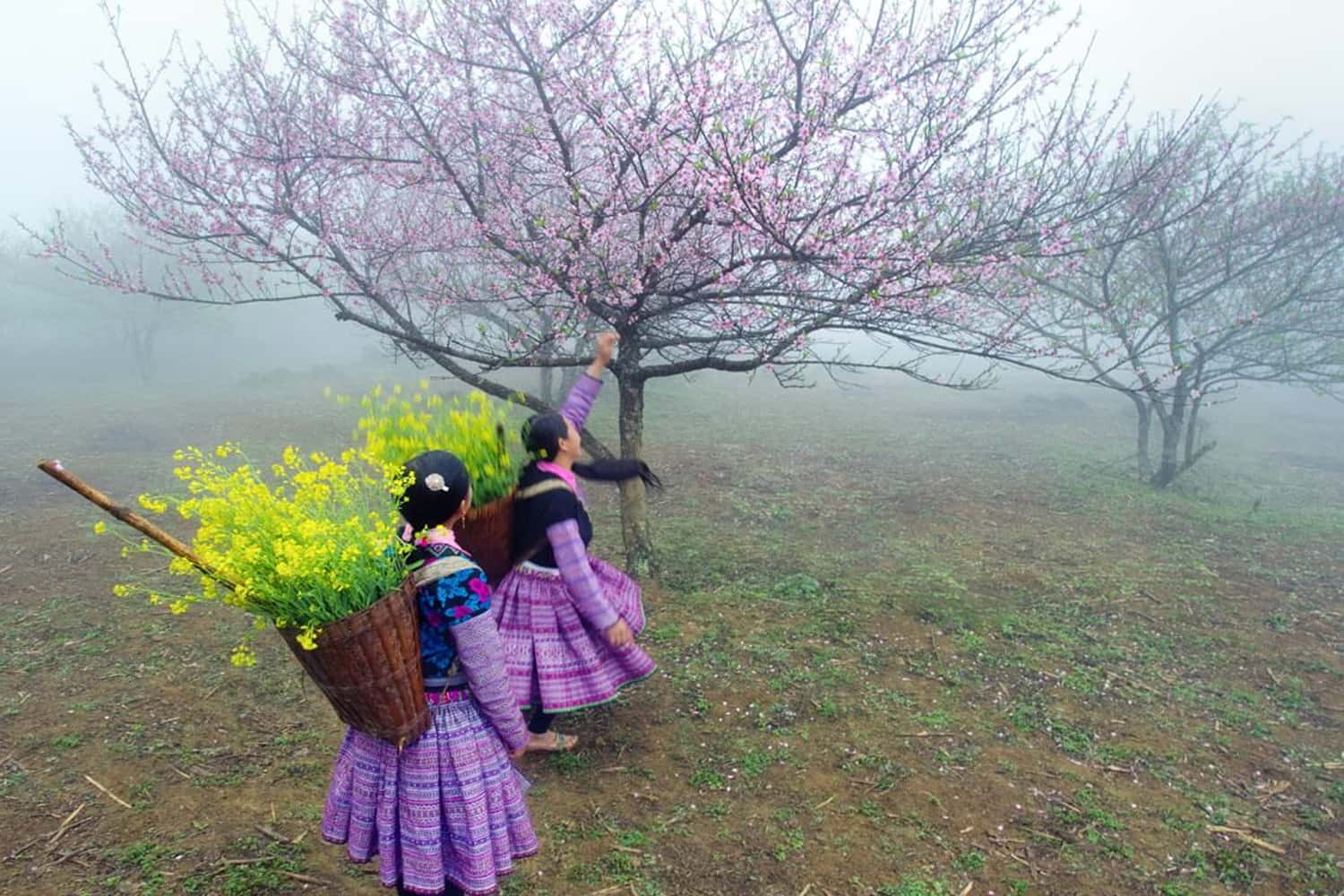 Mai Châu từ tháng 11 – tháng 2