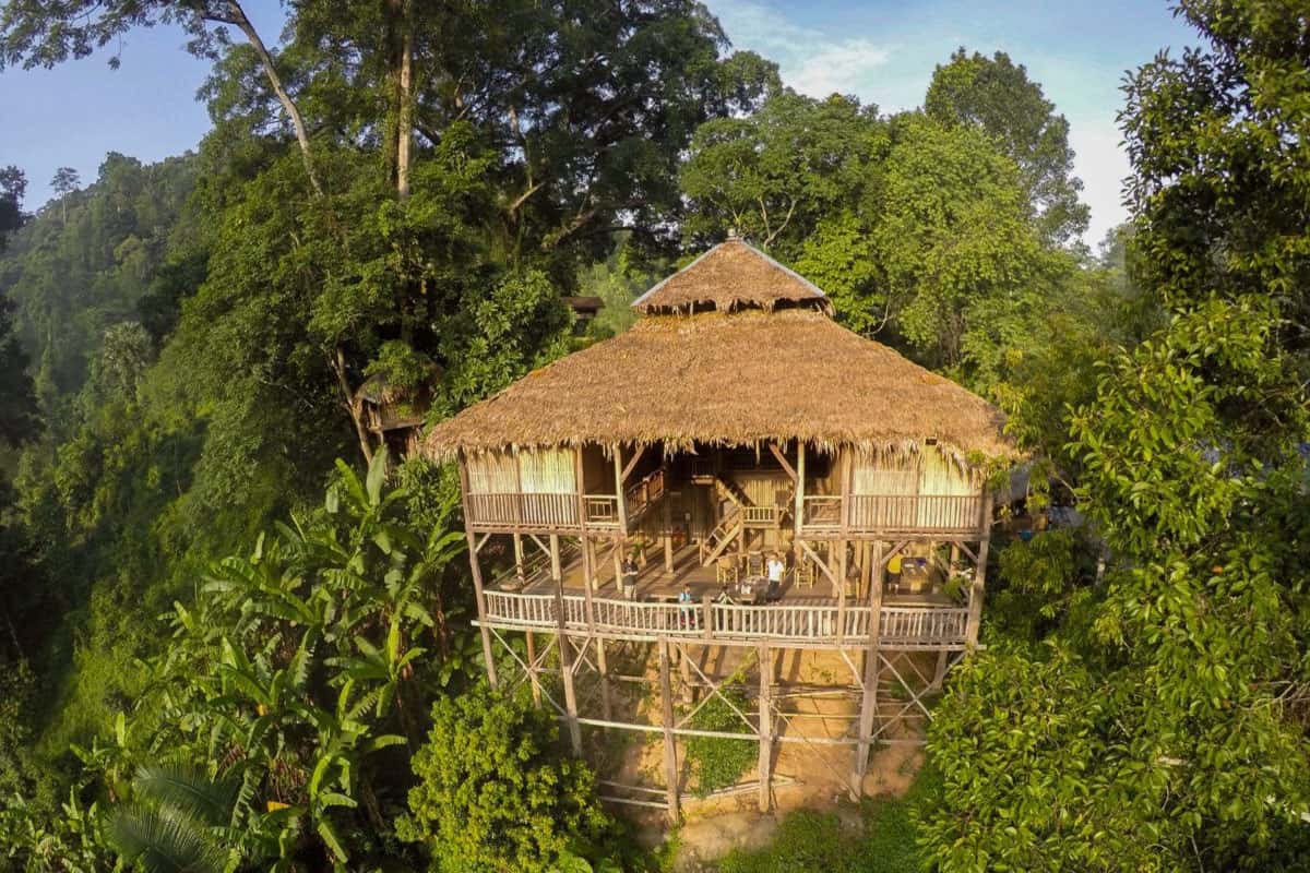 Live Like Mowgli At Chiang Mai Tree House In Chiang Mai