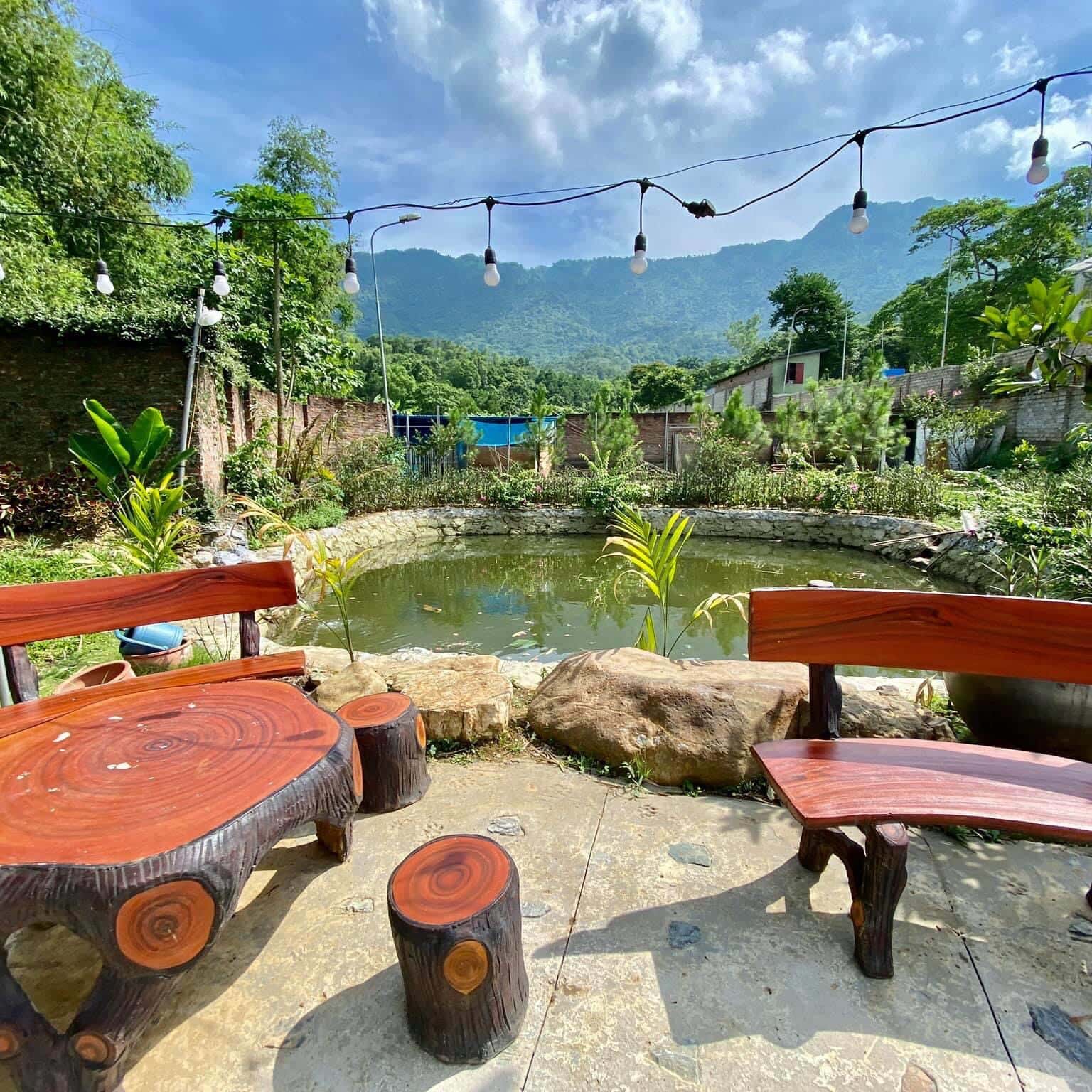 View uống trà chiều 