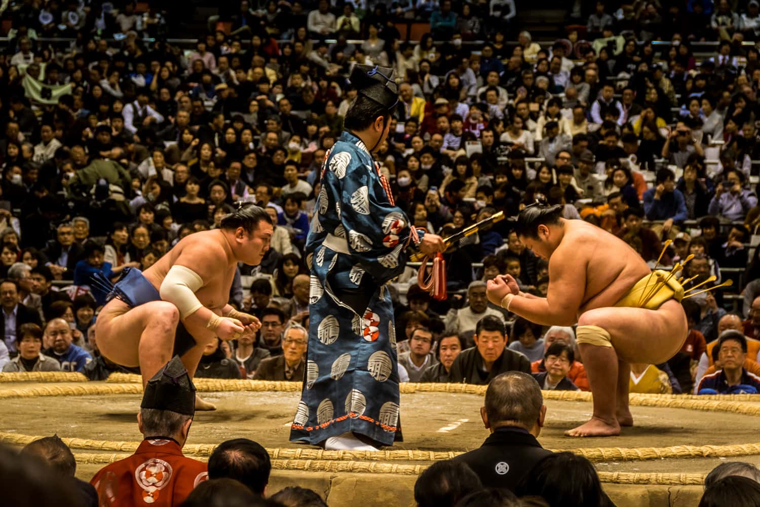 Championship Wrestling Sumo